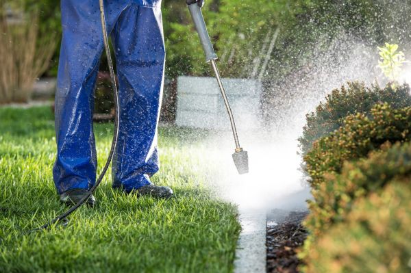 Curb Cleaning in Westminster