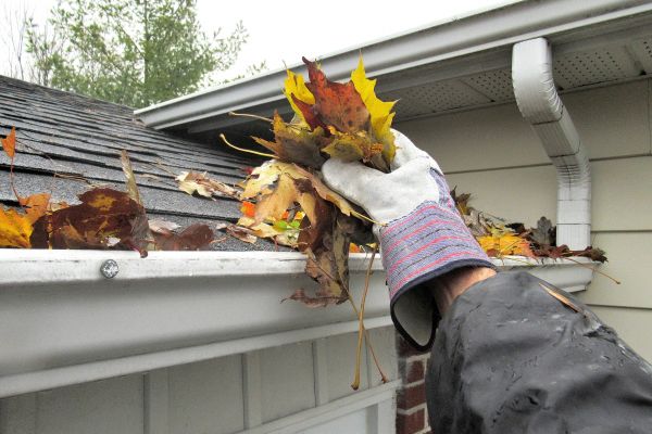 Eaves Cleaning in Westminster