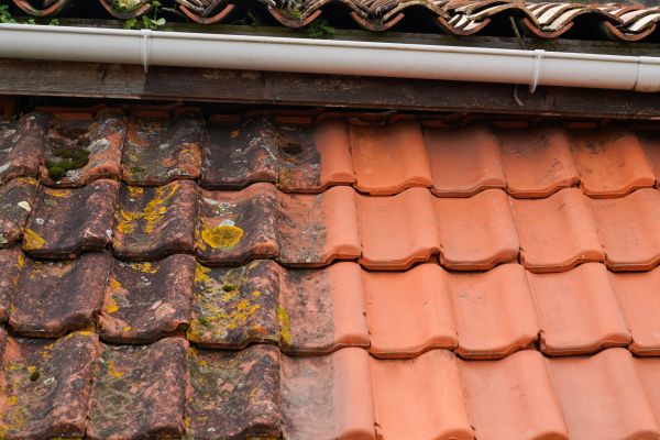 Industrial Roof Cleaning in Westminster